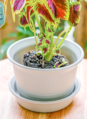 爱丽丝多肉花盆中钵加厚简约树脂胶塑料塑胶仿陶瓷清仓爱丽思圆形