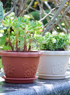正品爱丽思高档塑料圆型小花盆 多肉仿陶瓷个性树脂室内简约