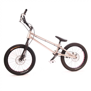 表演特技小轮车 BECAUSE 花式 街攀 极限运动 20寸攀爬自行车