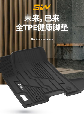 3W全TPE脚垫适用别克GL8-ES陆尊653T 652T胖头鱼豪华商务羊毛脚垫