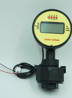 VPP-PT2-D24-4-PLNK-1-1/2电子压力计 隔膜压力表