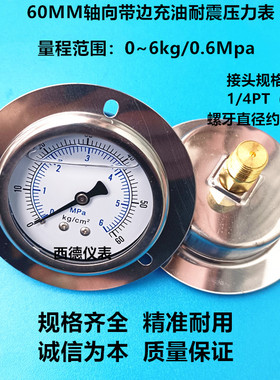 60MMl轴向带边（嵌装式）充油耐震压力表 60KG/6MPA 螺牙2分