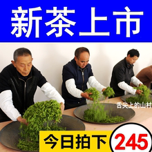 2024年新茶湖北宜昌茗茶五峰芽毛尖茶叶明前春茶高山采花绿茶500g