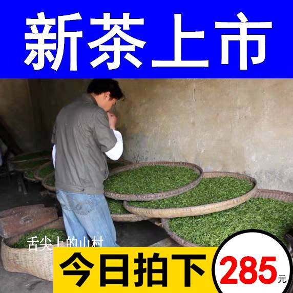 2024年新茶宜昌五峰芽毛尖明前春茶特级绿茶湖北茗茶嫩芽茶叶500g-封面