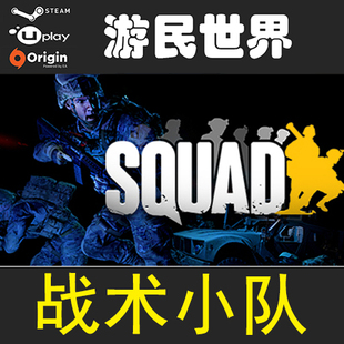 steam 正版 行动小组 战术小队 激活码 Squad Key