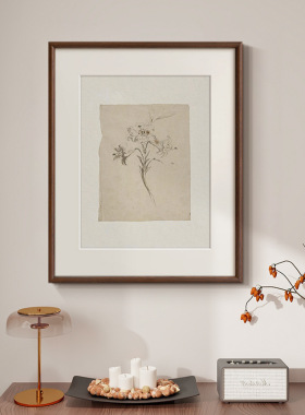 《古境花语》现代法式中古风客厅花卉装饰画餐厅玄关复古卧室挂画