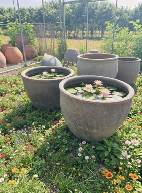 家用陶土粗陶陶瓷小瓷睡莲盆大号