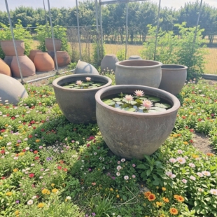 老旧1米口大水缸储水家用陶瓷大号养鱼瓦缸粗陶缸陶土小瓷睡莲盆