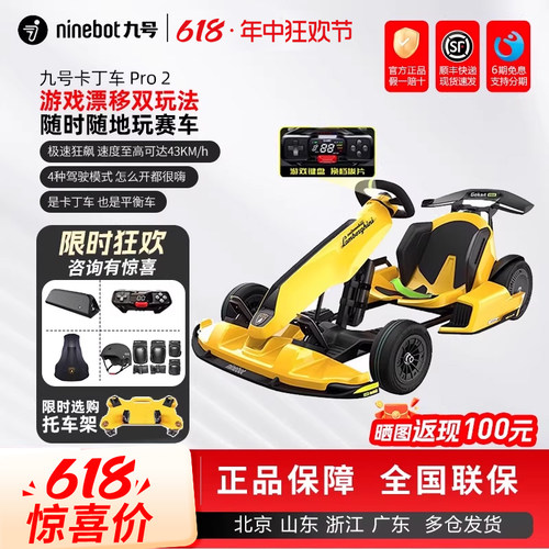 九号卡丁车PRO2儿童成人漂移赛车