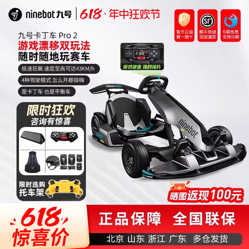 九号卡丁车PRO2儿童成年飘移赛车