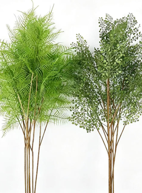 仿真大蕨叶文竹落地装饰植物