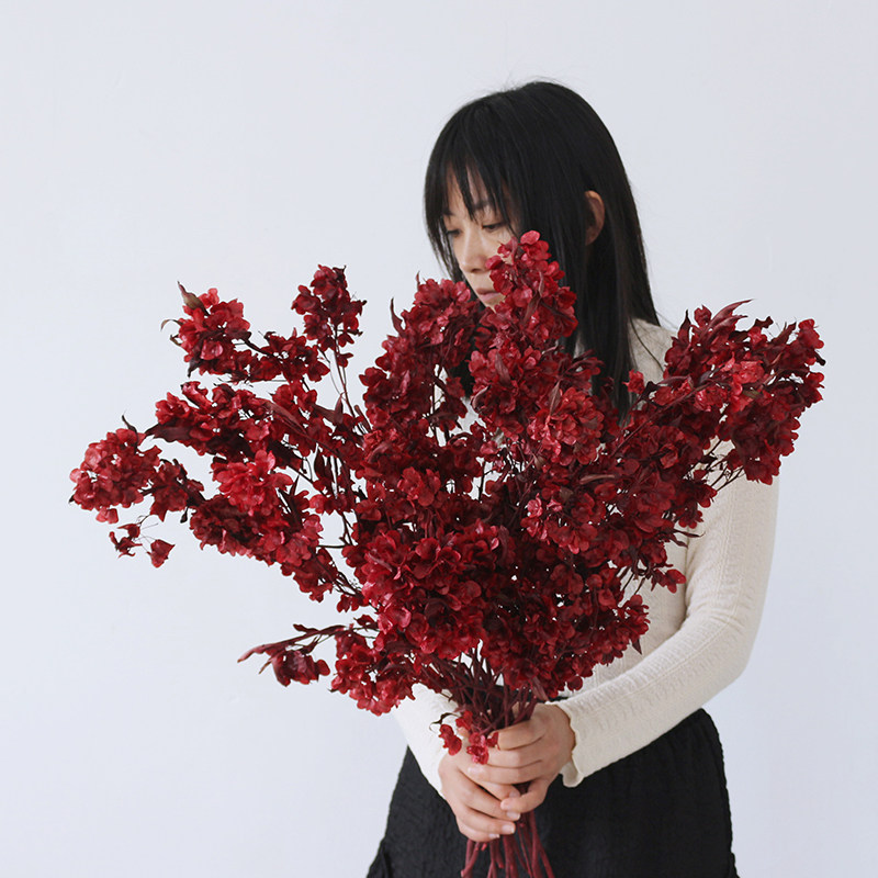 迎客豆蝴蝶花干花永生花年宵花过年节日红色喜庆客厅装饰插花真花