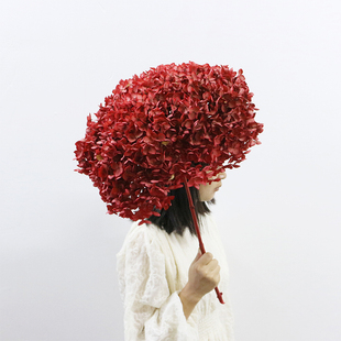 超大头安娜小叶绣球永生花天然干花真花家居客厅装 饰插花婚庆布置