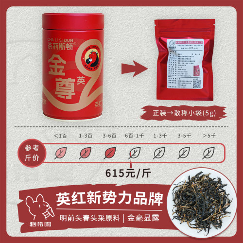 【单泡】茶莉斯顿金尊英9英红