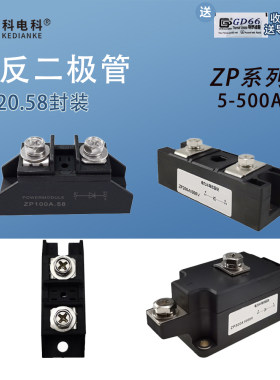 ZP100A.58二极直流防逆流