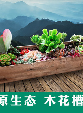 好看的大口径多肉花盆长方形景观枯木树桩阳台2025新款高颜值花箱