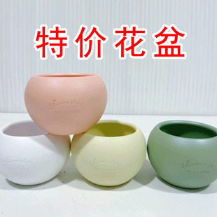 花盆小盆栽多肉植物绿植花盆榕树花盆办公室客厅桌面小花盆 特价