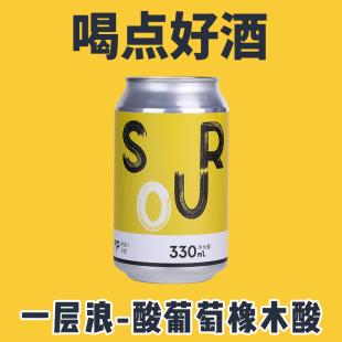 330ml 酸 啤酒听装 酸葡萄橡木酸艾尔 Brewing Wave中国深圳一层浪