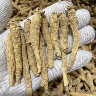 整粒西洋参整根整条正宗特级花旗参泡水煲汤滋补料正品长白山
