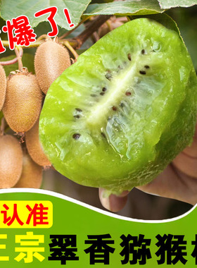 【翠香猕猴桃】陕西奇异果纯甜应季绿心水果新鲜当季5斤整箱包邮