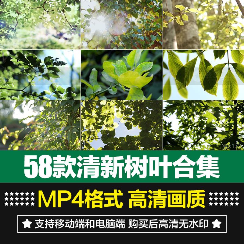 高清綠色小清新樹(shù)葉枝頭自然陽(yáng)光春天雨水露珠自媒體短片視頻素材