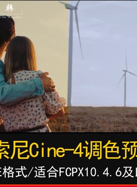 索尼Cine4 709 颜色调色预设Sony cine 4 film and standard luts