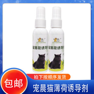 猫薄荷喷雾诱导剂汁香水上头木天蓼喷剂薄荷水