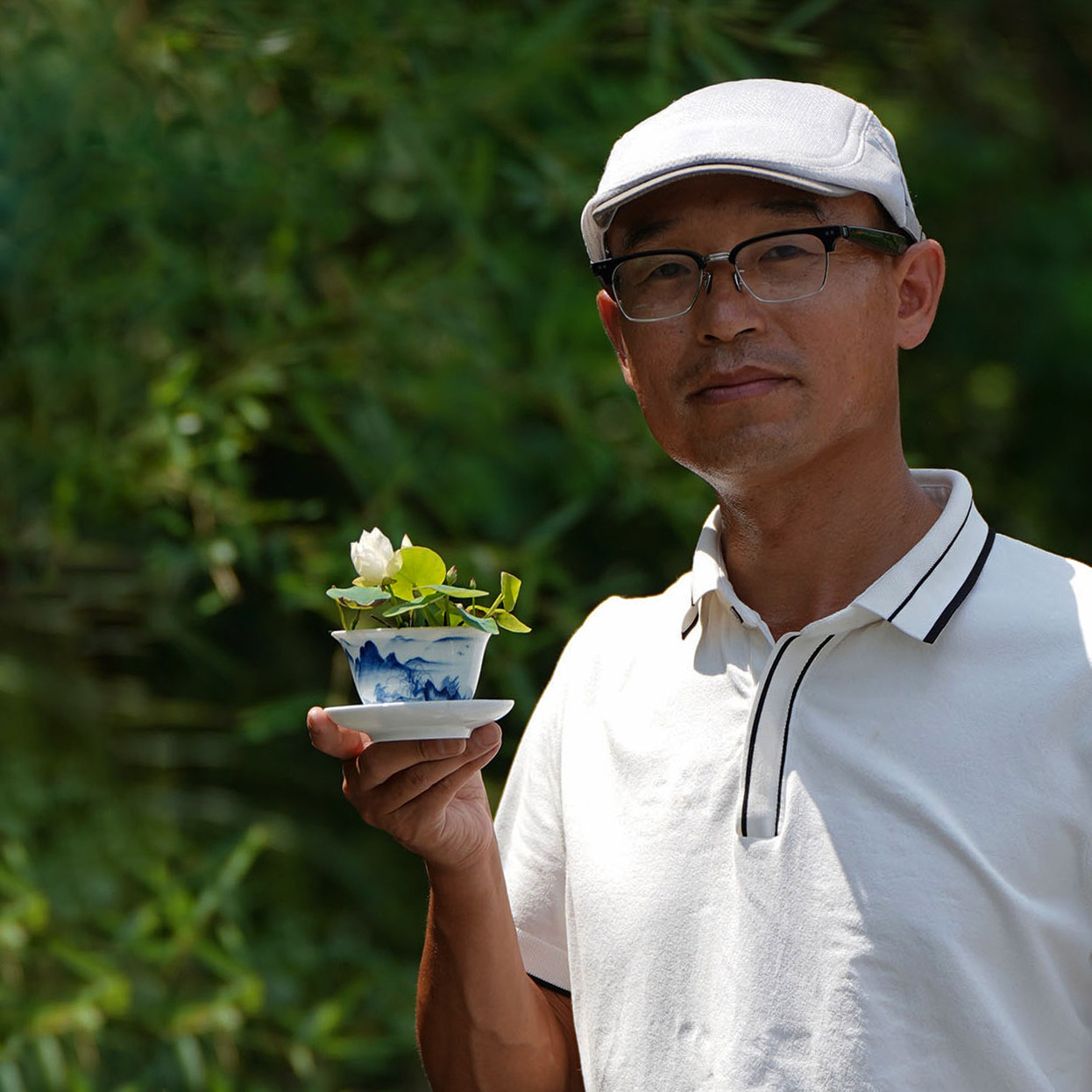 周劲松微型荷花微莲碗莲种藕苗净化空气阳台裸根花卉