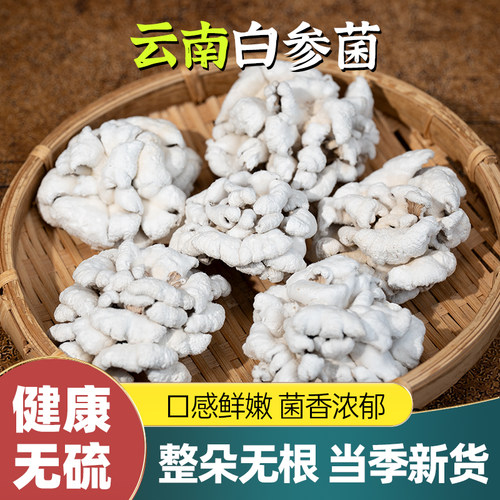 白参菌干货雪莲菌仿干巴菌250克