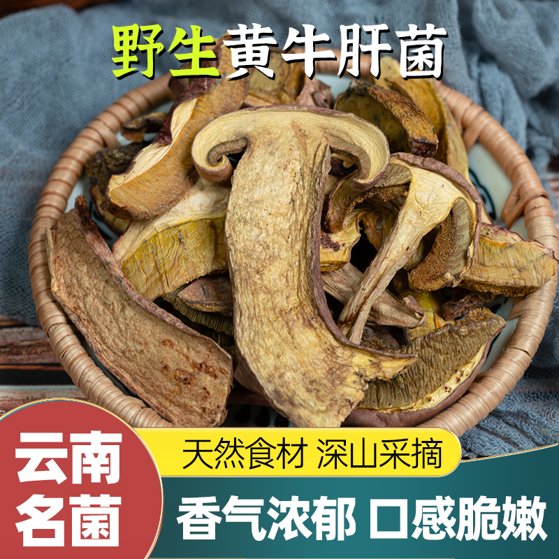 纯野生黄牛肝菌煲汤炒菜味道香浓