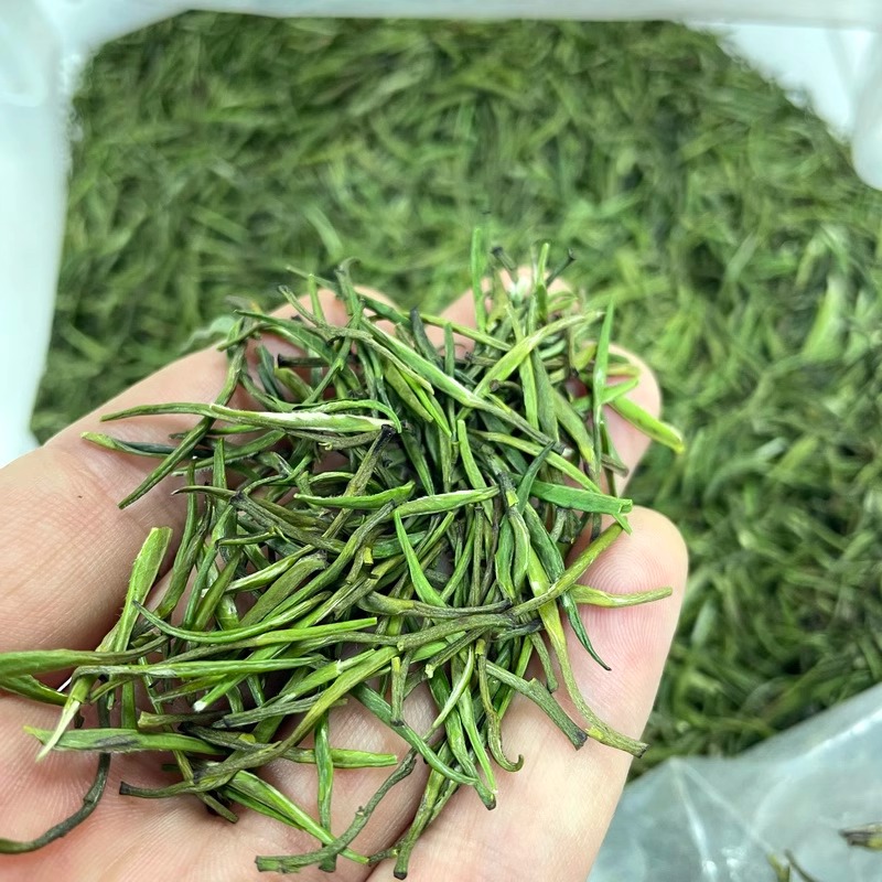 富硒芽茶新茶银雀舌针绿茶