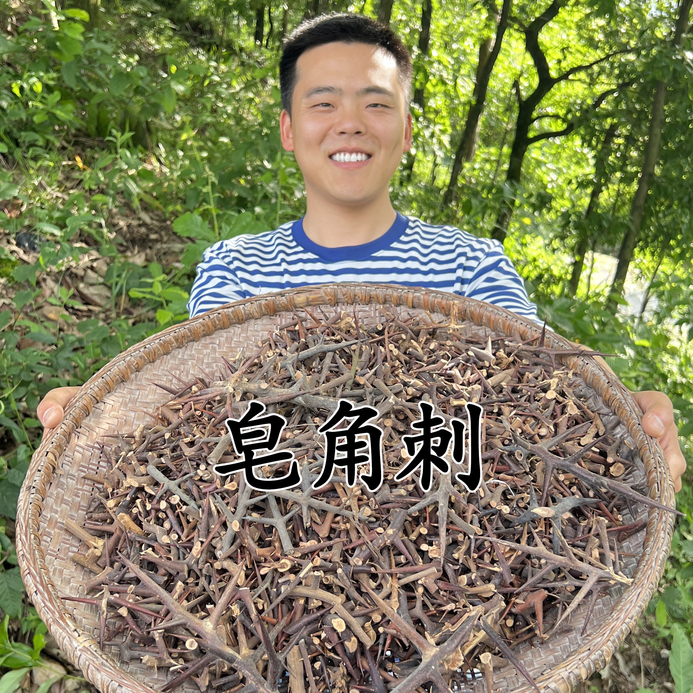 神龙架野生皂角刺中药材正品天丁天丁刺 皂荚皂角树刺皂刺皂荚刺