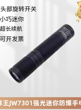 海洋王JW7301迷你防爆强光手电筒JW7302充电消防LED手电头灯