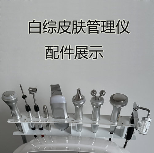 白色综合皮肤管理仪配件海密同款手柄耗材美容仪器探头