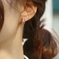耳环2021年新款潮高级感耳钉2022气质耳圈耳扣纯银大气夏天耳饰女