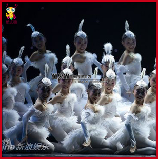 天鹅舞小荷风采和谐阳光舞蹈演出服丹顶鹤演出服儿童羽毛舞蹈服