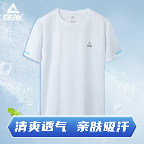 匹克运动短袖男T恤吸汗速干衣冰丝上衣跑步健身羽毛球服夏季
