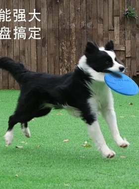 玩具狗中大型犬大量户外狗飞盘飞盘训练现货耐咬Meianju宠物
