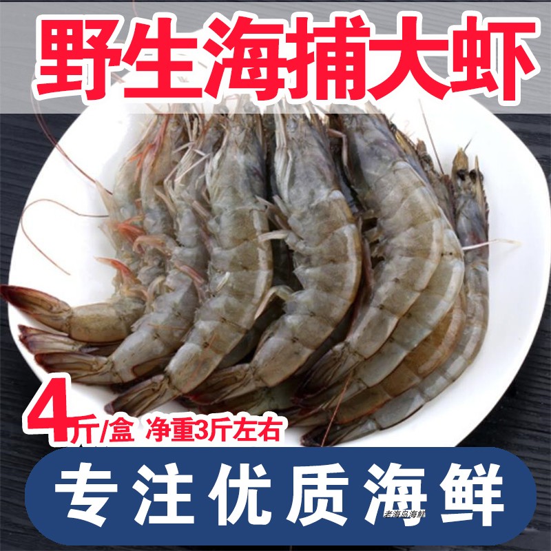 大连海鲜渤海对虾青虾白虾大虾