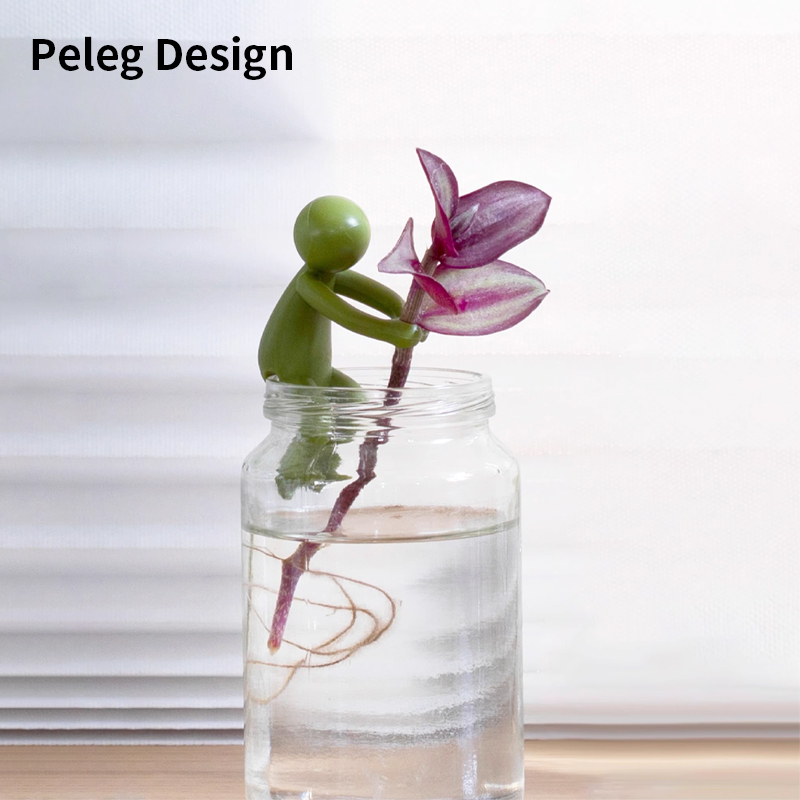 以色列Peleg Design植物生长伴侣Leafriend扶正植物茎杆园艺工具-封面