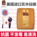 SAGE菜板美国进口砧板山姆切菜板抗菌家用粘板世厨辅食水果面案板