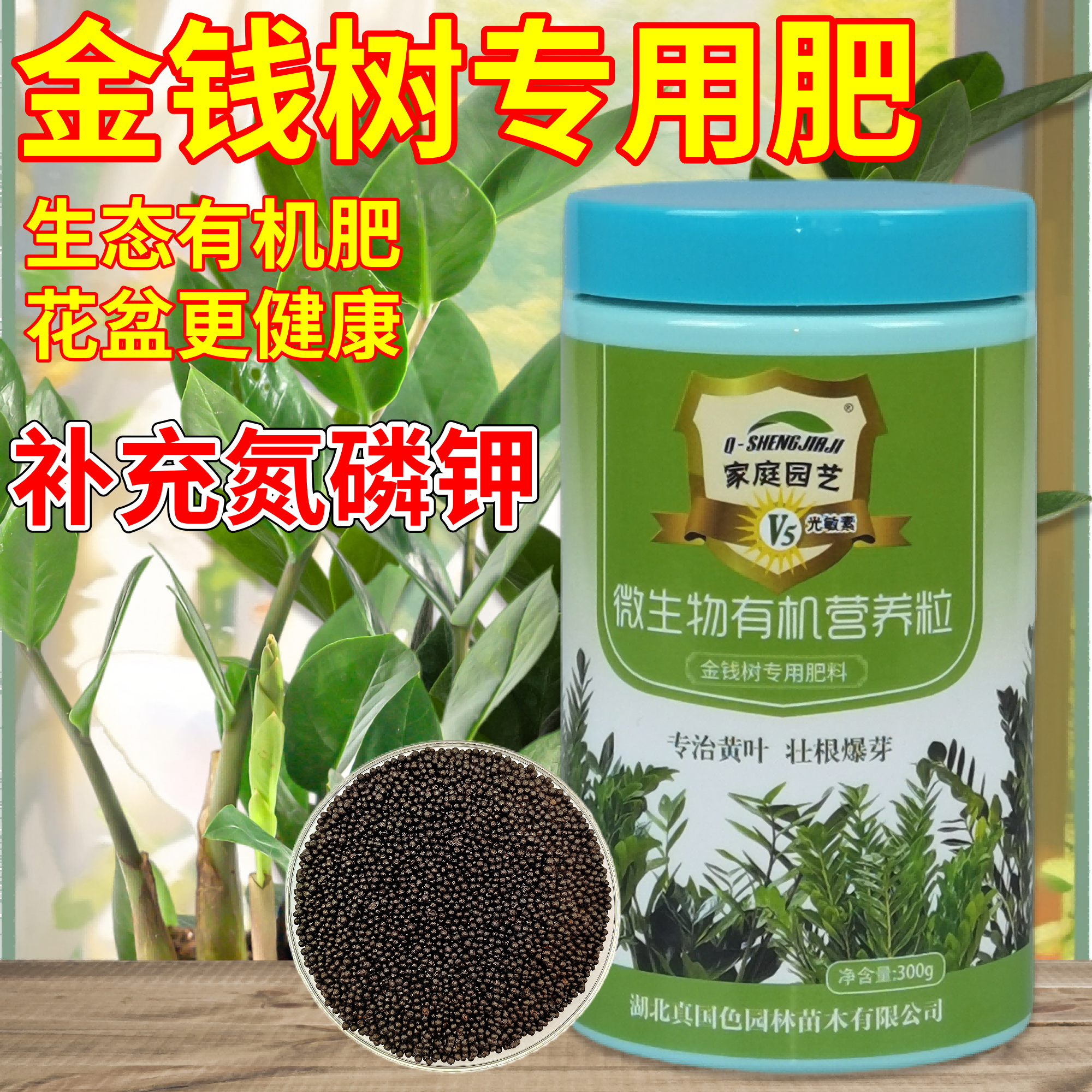 金钱树专用肥专治黄叶壮根爆芽肥
