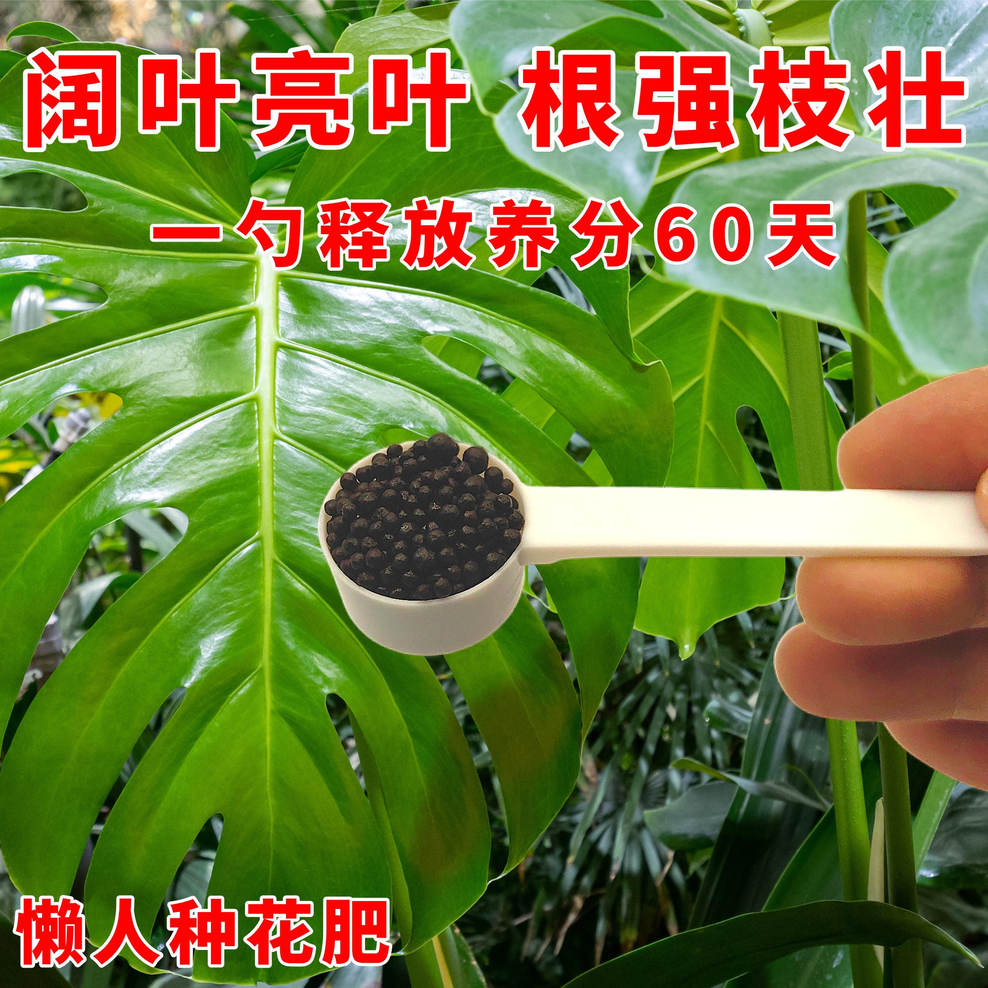 绿植专用营养有机复合肥叶片厚绿