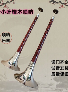 宏盛二号小叶紫檀木唢呐乐器全套专业成人初学者降BCAD调纯铜喇叭