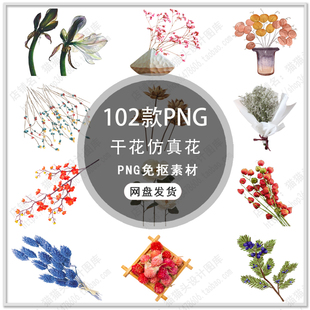 鲜花干花植物花卉花瓣玫瑰康乃馨雏菊干花枯萎的花PNG免扣素材