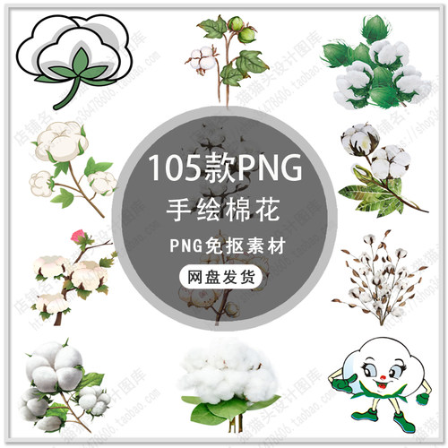 可爱卡通棉花插画农作物手绘棉花插画纯棉标签图标PNG免扣素材