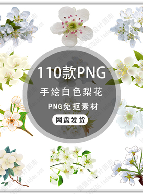手绘梨花花朵花卉浪漫白色花朵梨花装饰花瓣飘落梨花PNG免扣素材