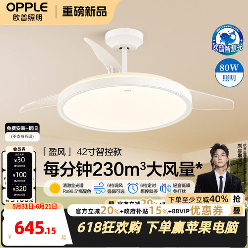 风量强劲光效明亮 低噪音防蚊虫