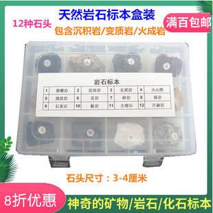 热销12种三大类岩石 沉积岩变质岩沉积岩 教育学习工具 收藏标本