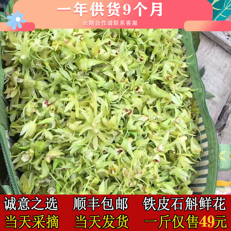 顺丰包邮铁皮石斛鲜花当天采摘新鲜食用一斤枫斗新花正宗基地直发